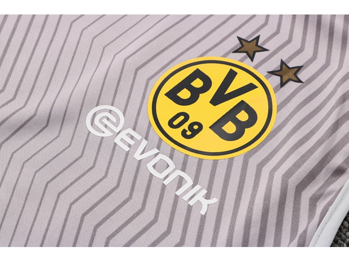 Chandal del Borussia Dortmund 2022 Sin Mangas Gris